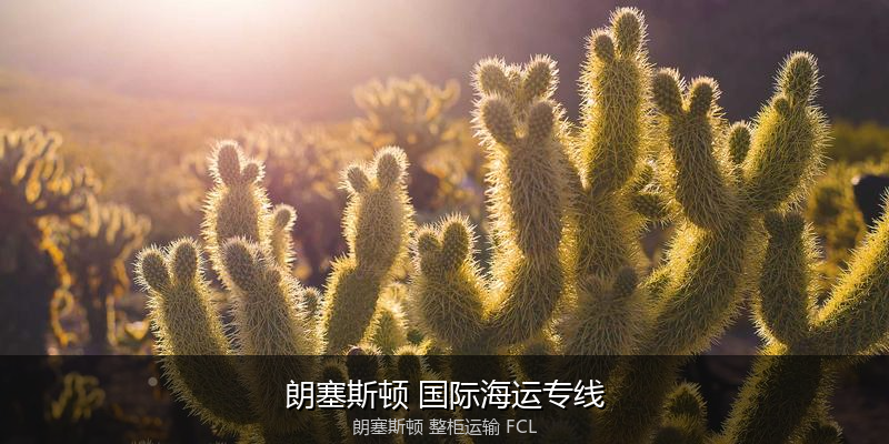 澳大利亚海运清关流程与合规注意事项